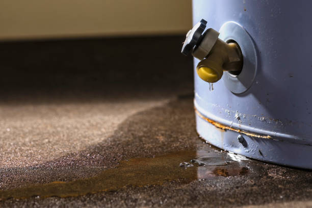 Best Water damage restoration near me  in Aurora, MO