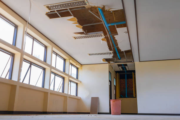 Best Flood damage cleanup  in Aurora, MO