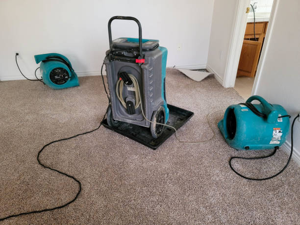 Water damage restoration insurance claims in MO
