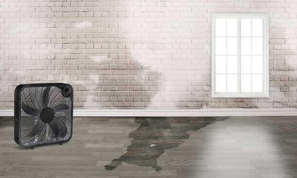 Reliable MO Water damage restoration Solutions