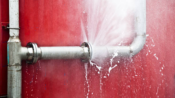 Best Water damage cleanup near me  in Aurora, MO